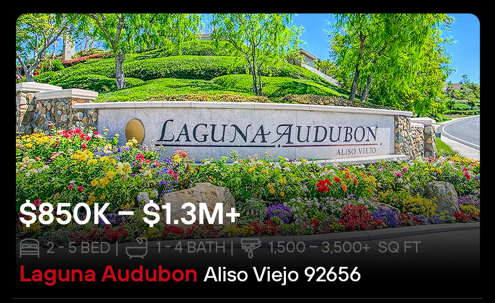 Laguna-Audubon_Aliso_Viejo-Home-For-Sale-3